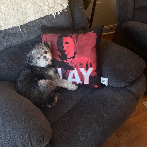 Welcome to The Green Moth - Picture 6 of 8